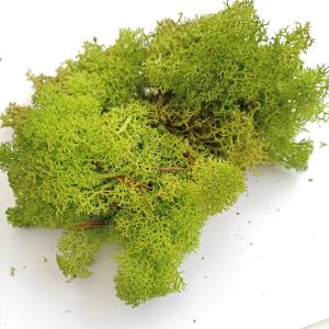 Mech dekorační světle zelený 20g