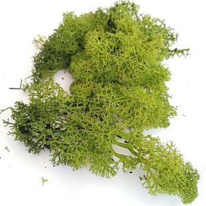 Mech dekorační zelený 20g