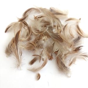 Peří přírodní  jemné cca 30ks