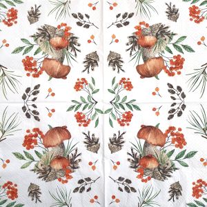 Ubrousek jeřabiny a houby