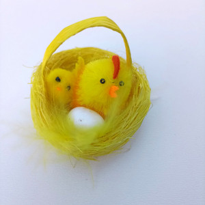 Kuřátko a  kohoutek v košíčku